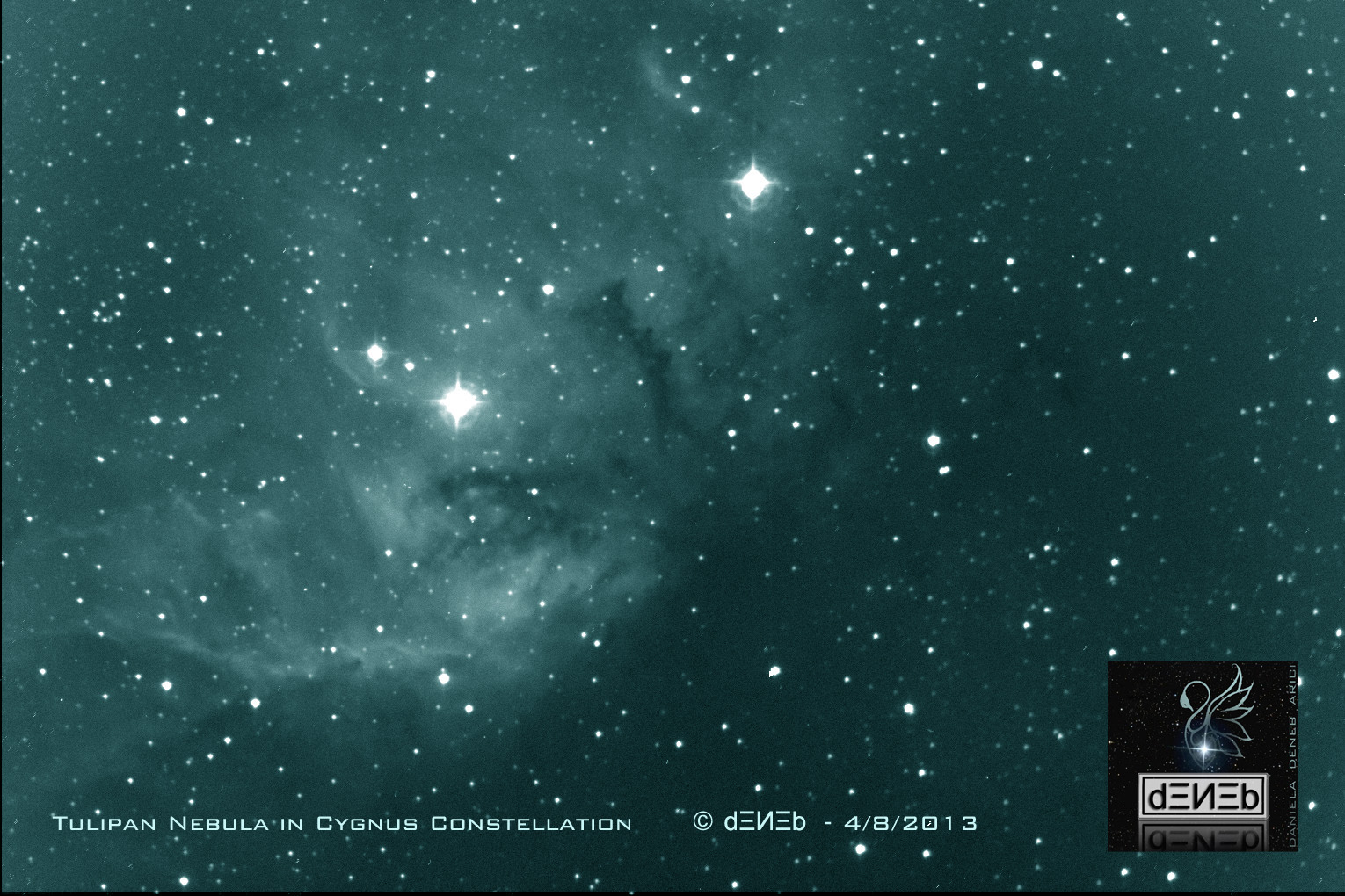 ᴾᴴᴼᵀᴼ 'Tulipan Nebula in Cygnus Constellation'
